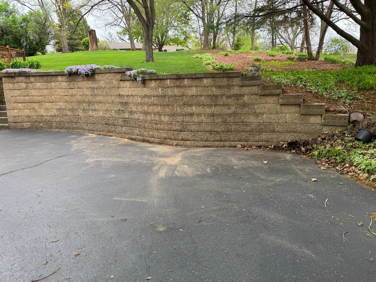 Junk removal in Rockford IL: driveway brush and debris removal after